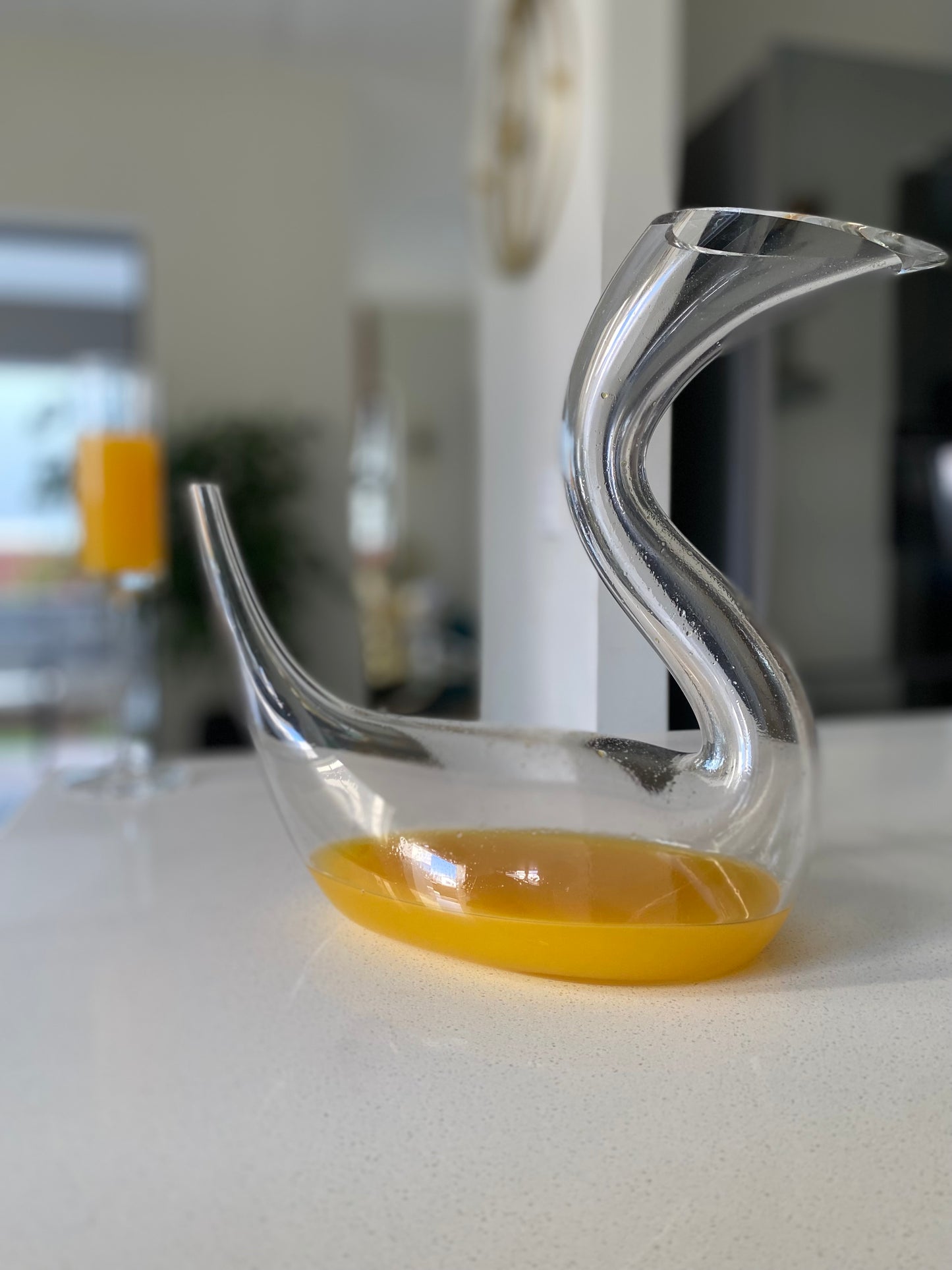 Duck shaped decante