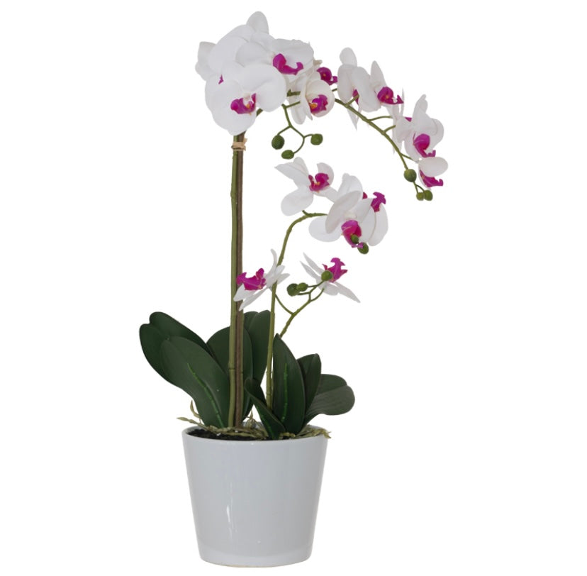 REAL TOUCH WHITE ORCHID IN POT