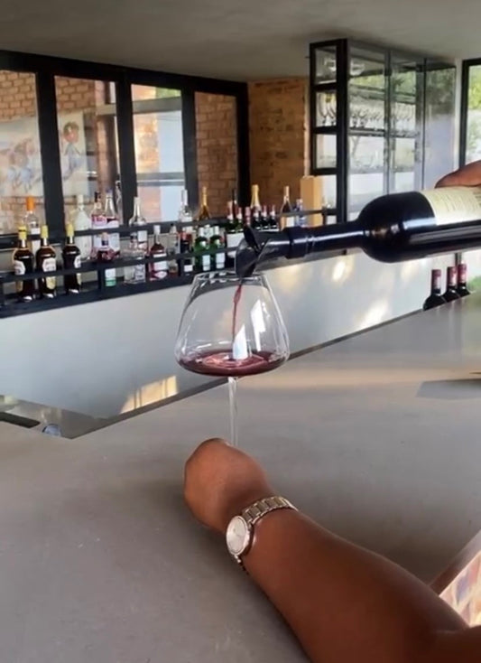 2 in 1 bottle stopper or pourer