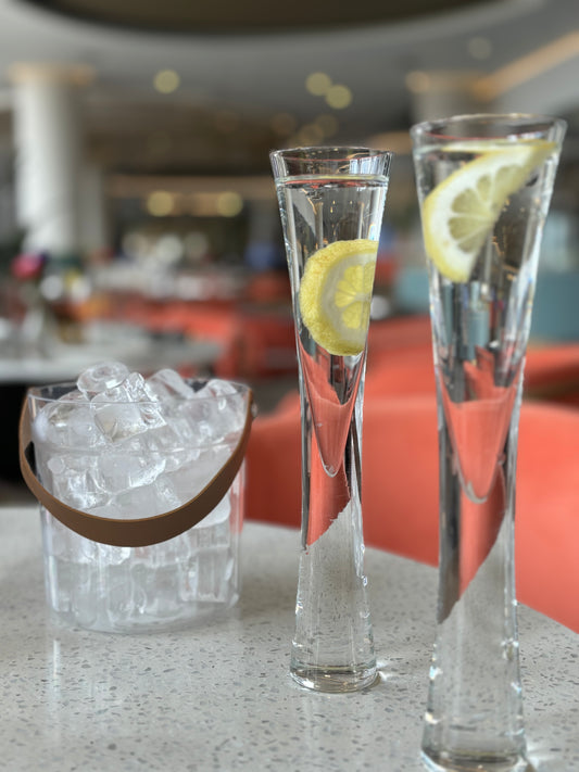 Acrylic ice bucket with handle