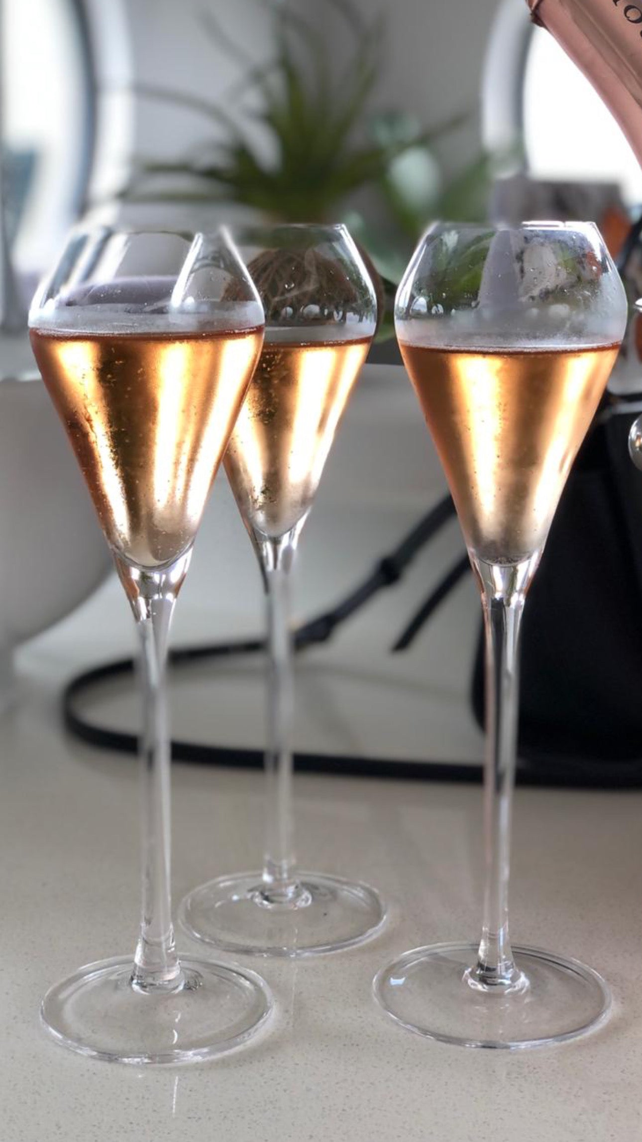 Tulip Champagne Glasses