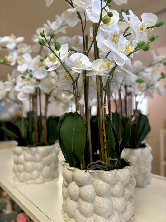 CM artificial orchid