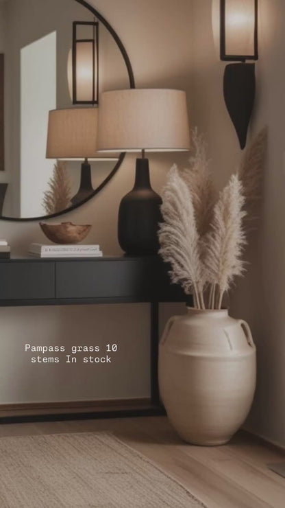 Beige Pampass grass